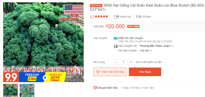 hat-giong-cai-kale