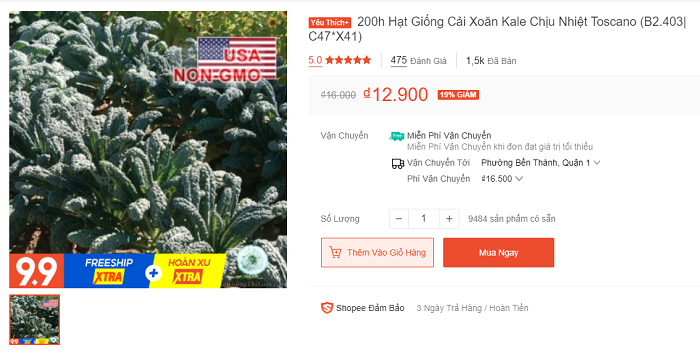 hat-giong-cai-kale 